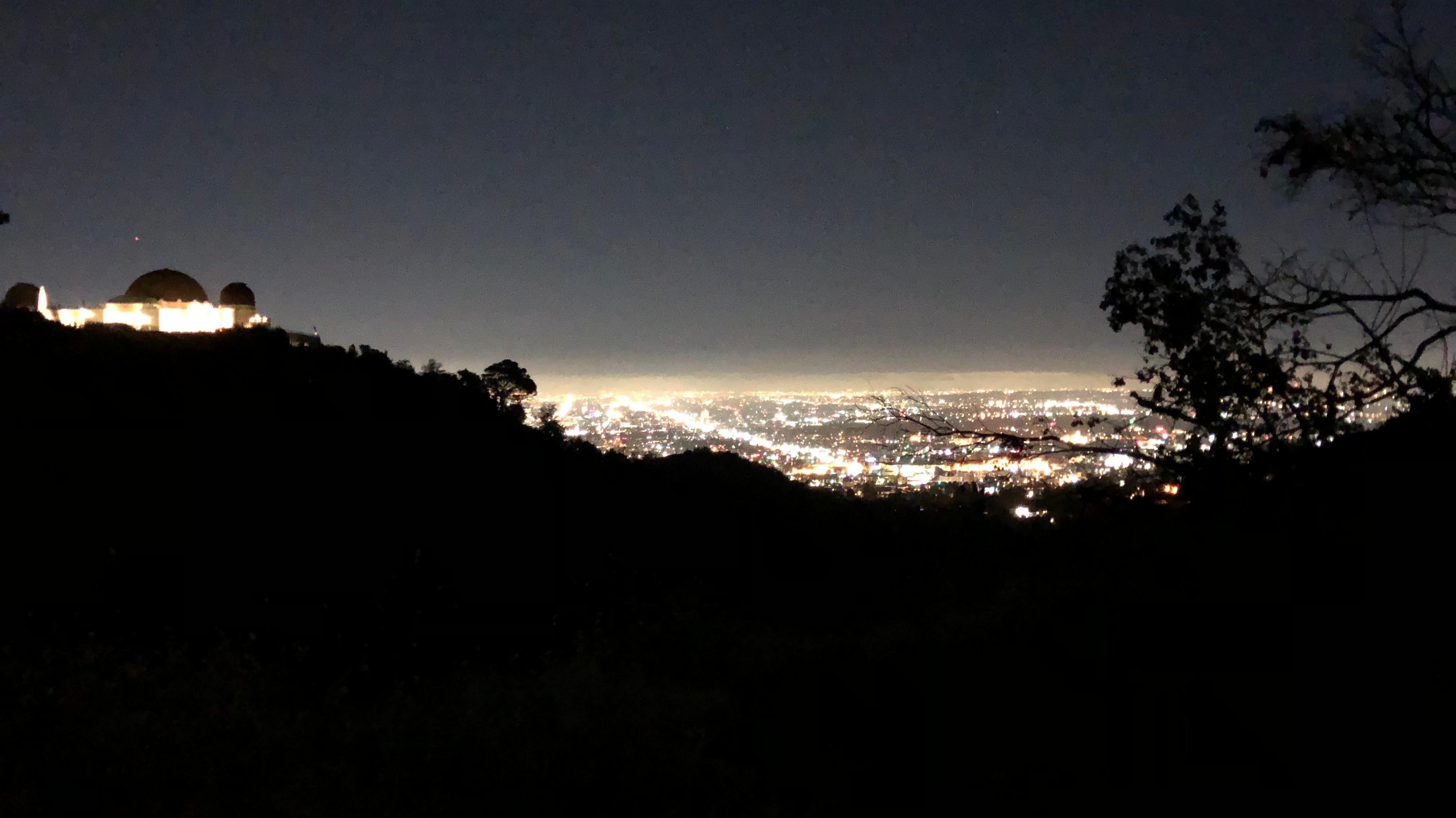 Hollyweed