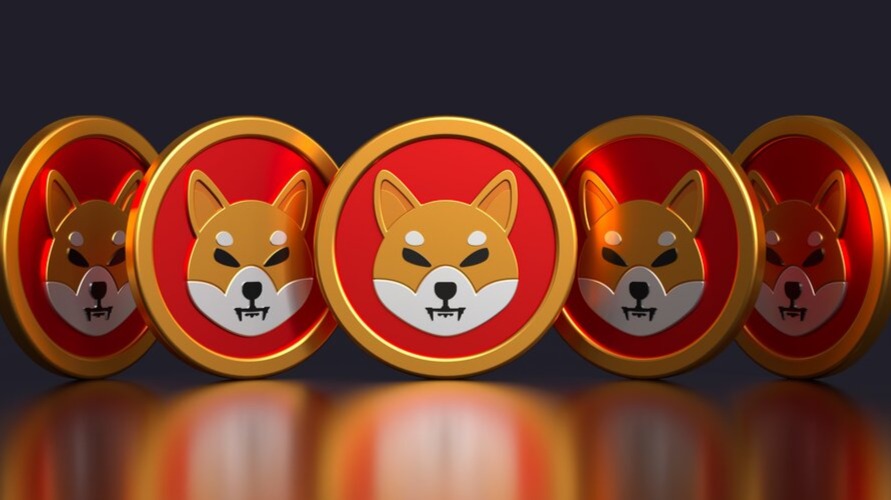 Shiba Inu coins