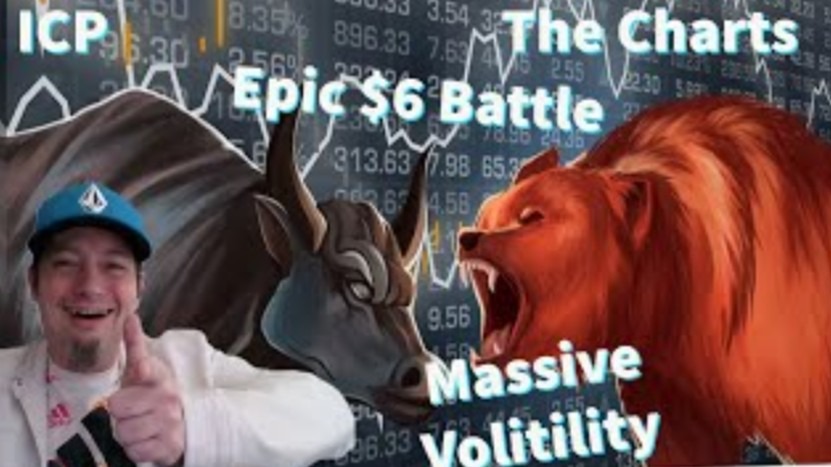 Battle of the Bulls Vs Bears