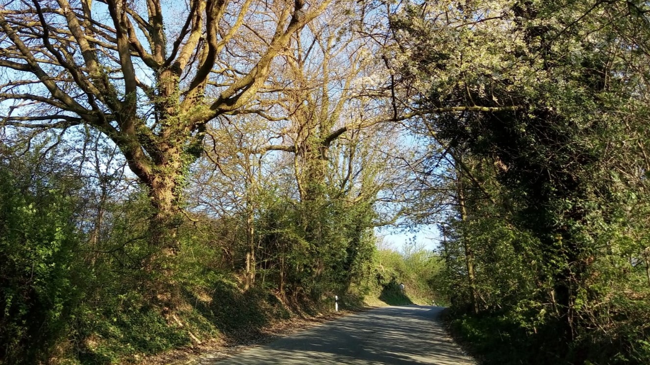Path to the River