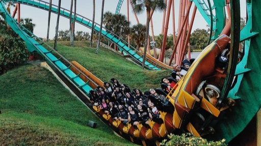 Crypto Market Roller Coaster