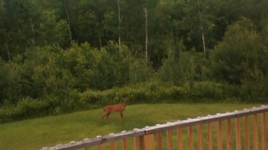 nature