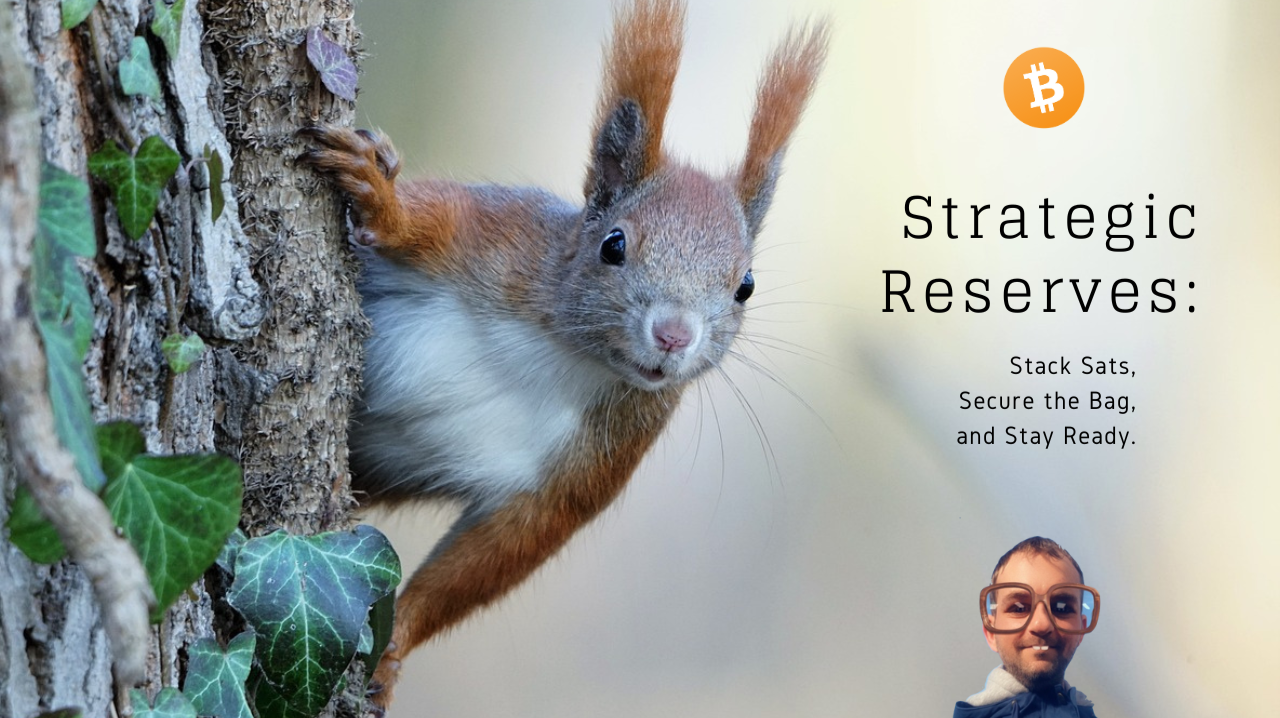 Strategic Reserves: Stack Bitcoin Sats, Secure the Bag, and Stay Ready