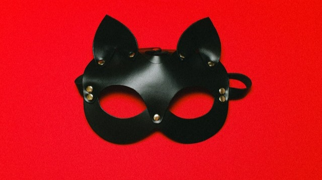 Leather cat mask