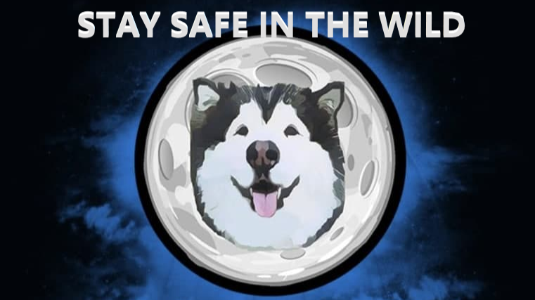 Malamute Finance Review