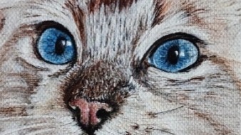 Painting of cat's eyes, acrylic on canvas