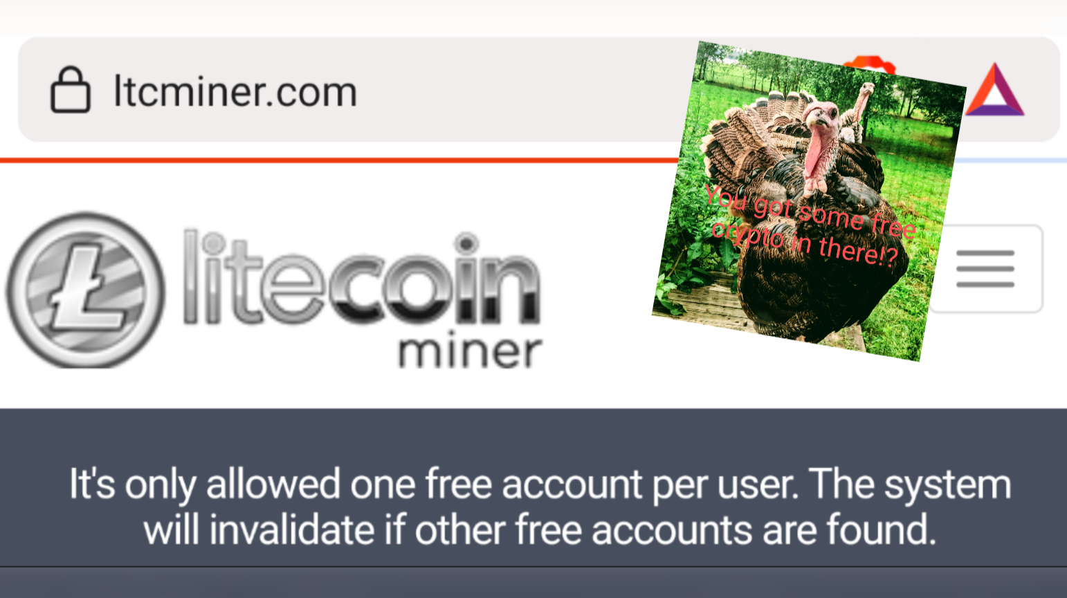 Is ltcminer.com a scam? (Updated)