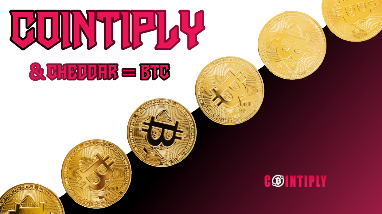 Cheddar + Cointiply is where it is at for passive BTC earnings