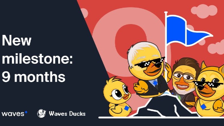 Waves Ducks Ecosystem, NFT & Game in My Life