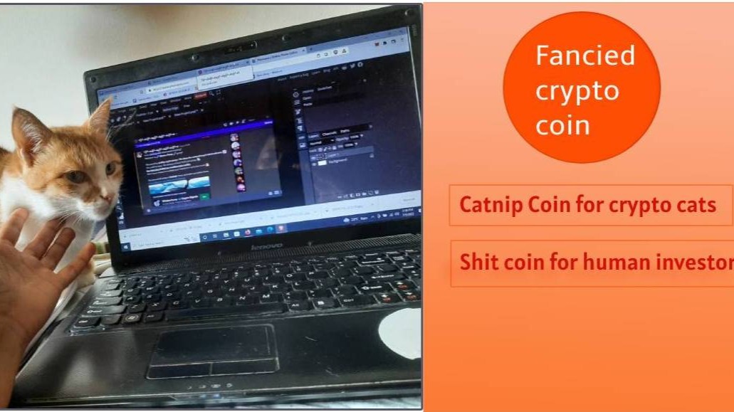 A possible crypto coin that would be a cat nip for crypto cats but shit coin for humans