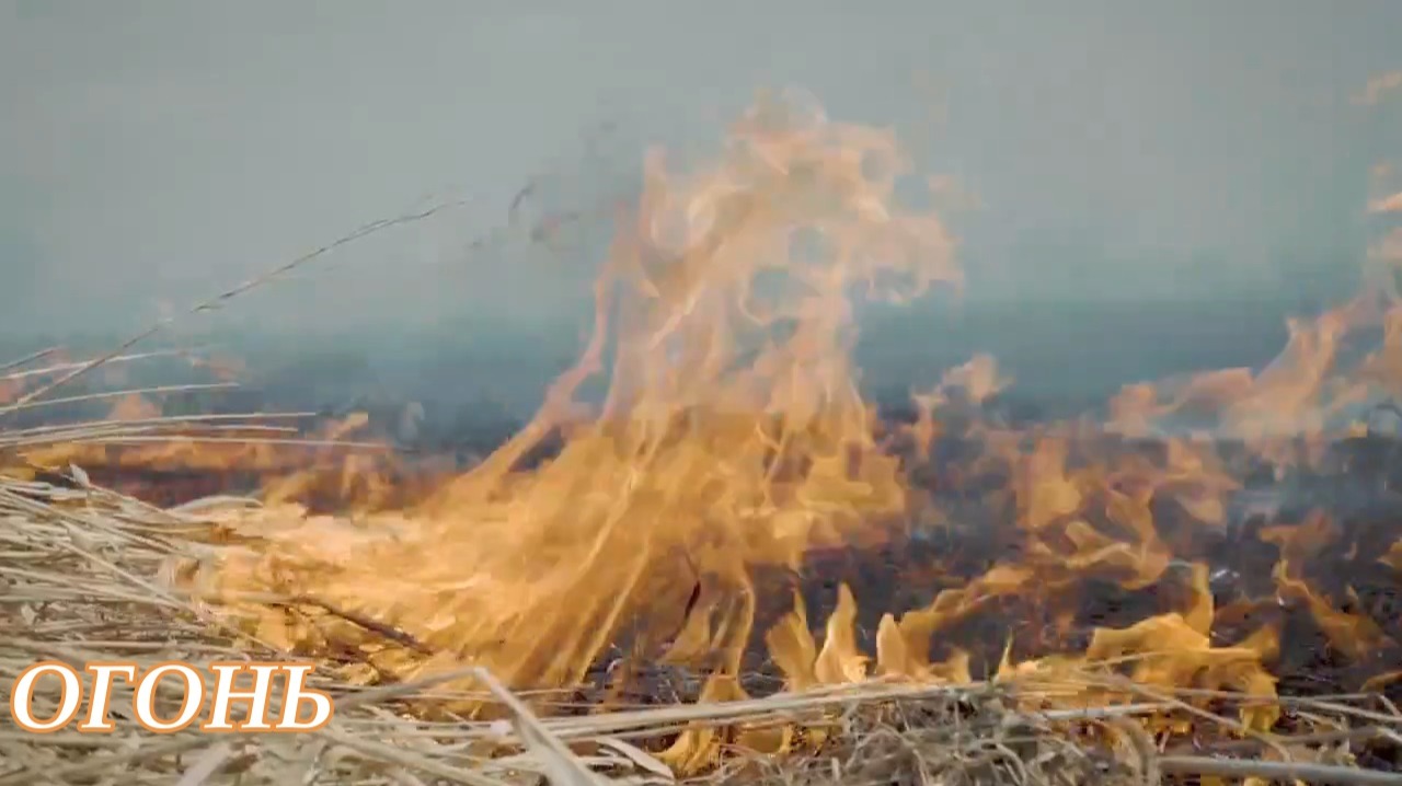 Fire