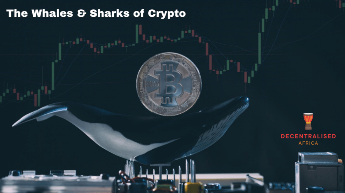 Crypto Whales &amp; Sharks