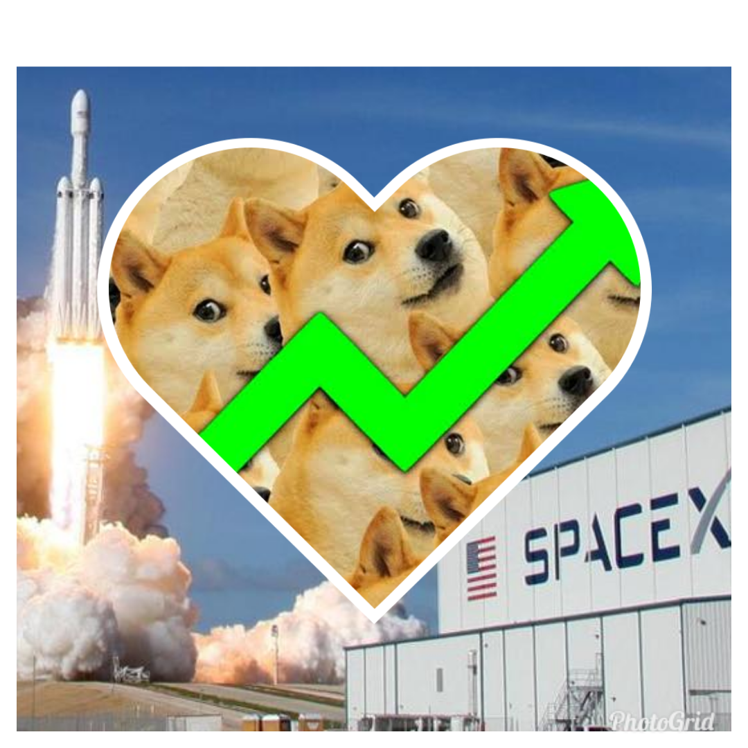 80%⬆️ 24h What's happen DOGECOIN?😱