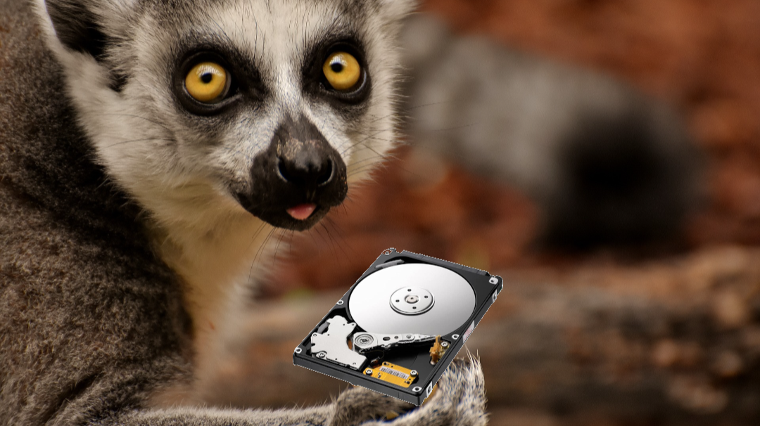 lemur harddisk backup