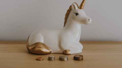 Unicorn "piggy bank"