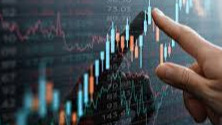 stock market is crypto world , choose where you want to invest your money