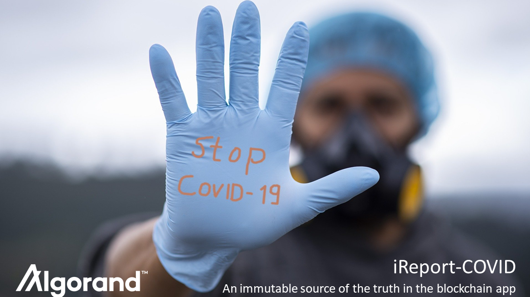 iReport COVID-19 by Algorand