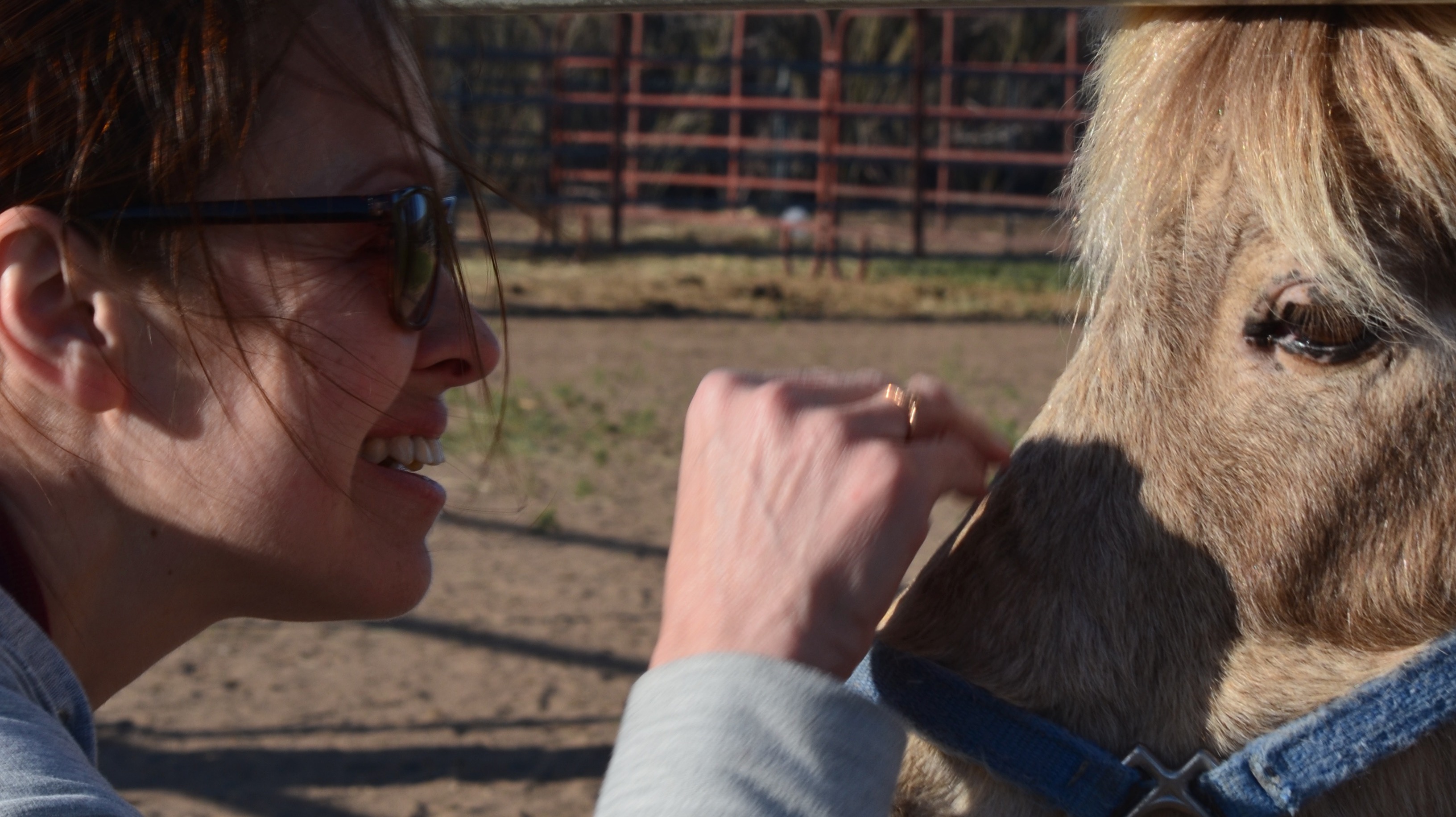 Just as it was in the days of Noah, so too it will be in the days of