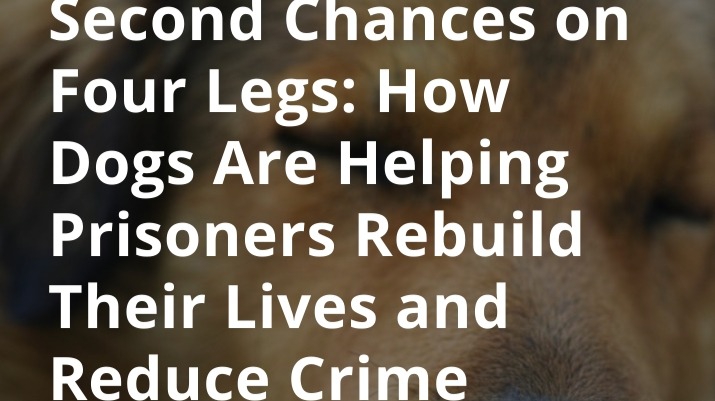 How Dogs Are Helping Prisoners Rebuild Their Lives and Reduce Crime