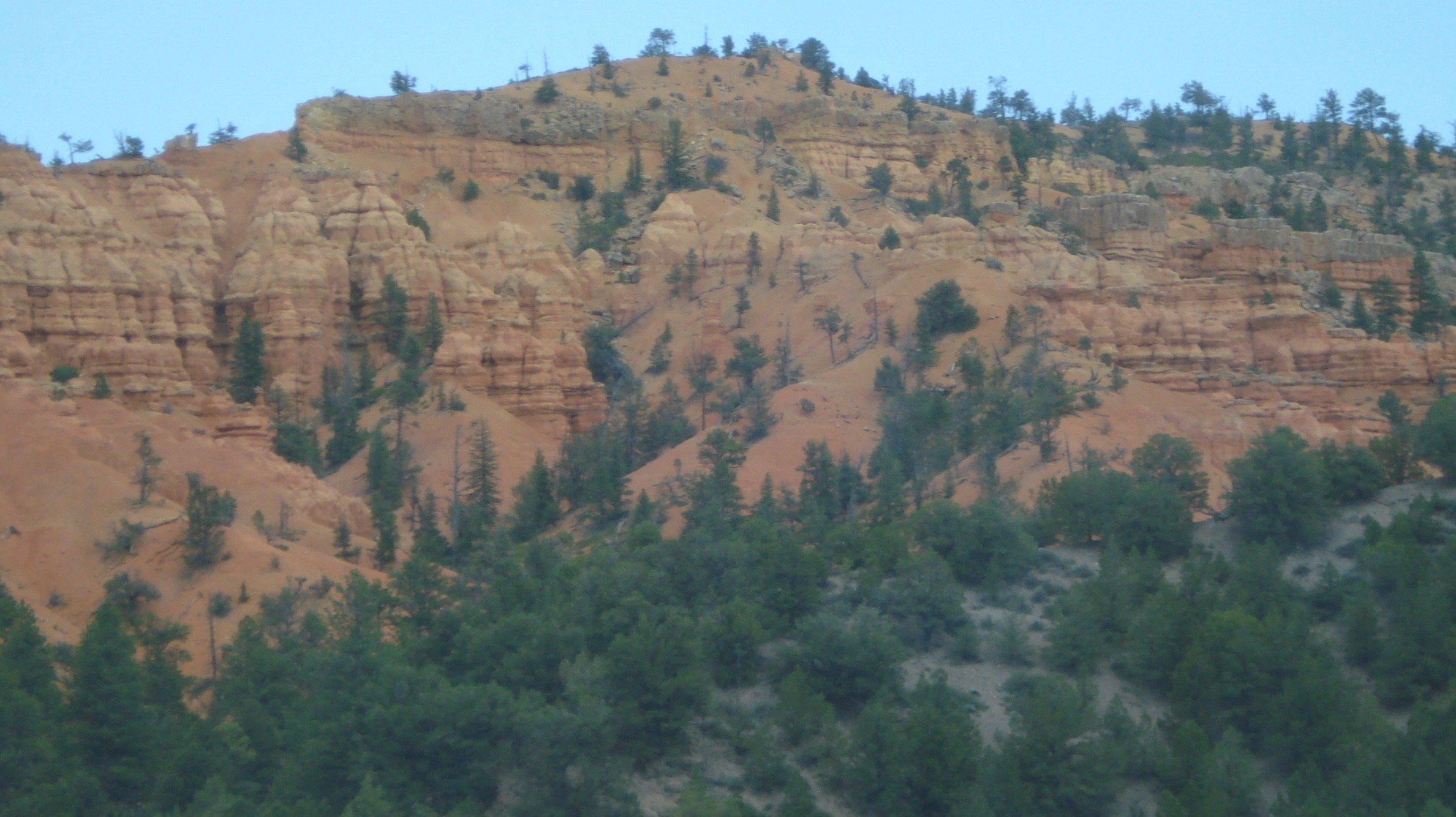 Red Canyon New Mexico
