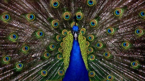 Image Source- Google.