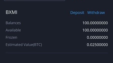 Bitxmi Exchange