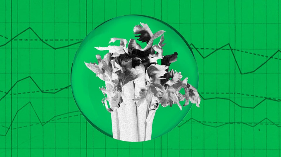 DailyCoin