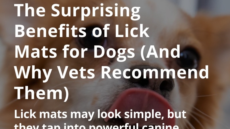 The Surprising Benefits of Lick Mats for Dogs (And Why Vets Recommend Them)