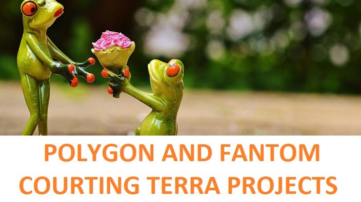 a frog giving flowers to another frog, text saying Polygon and Fantom courting Terra projects