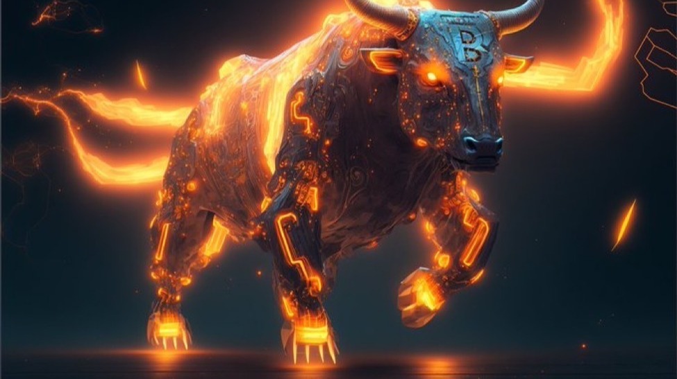 Bitcoin bull run