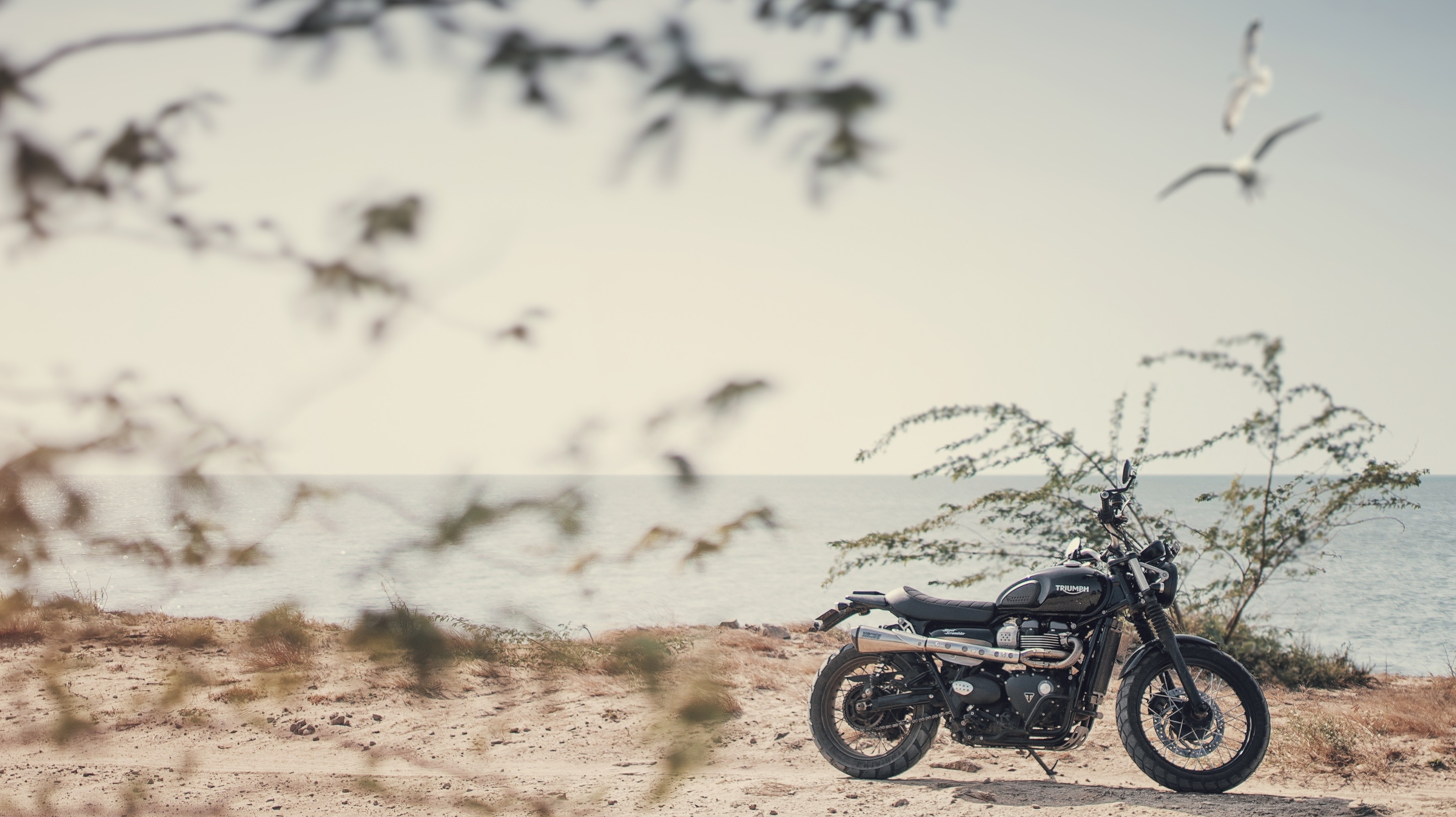 Photo by Thanuj Mathew on Unsplash