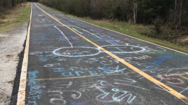 gravity hill outside forest