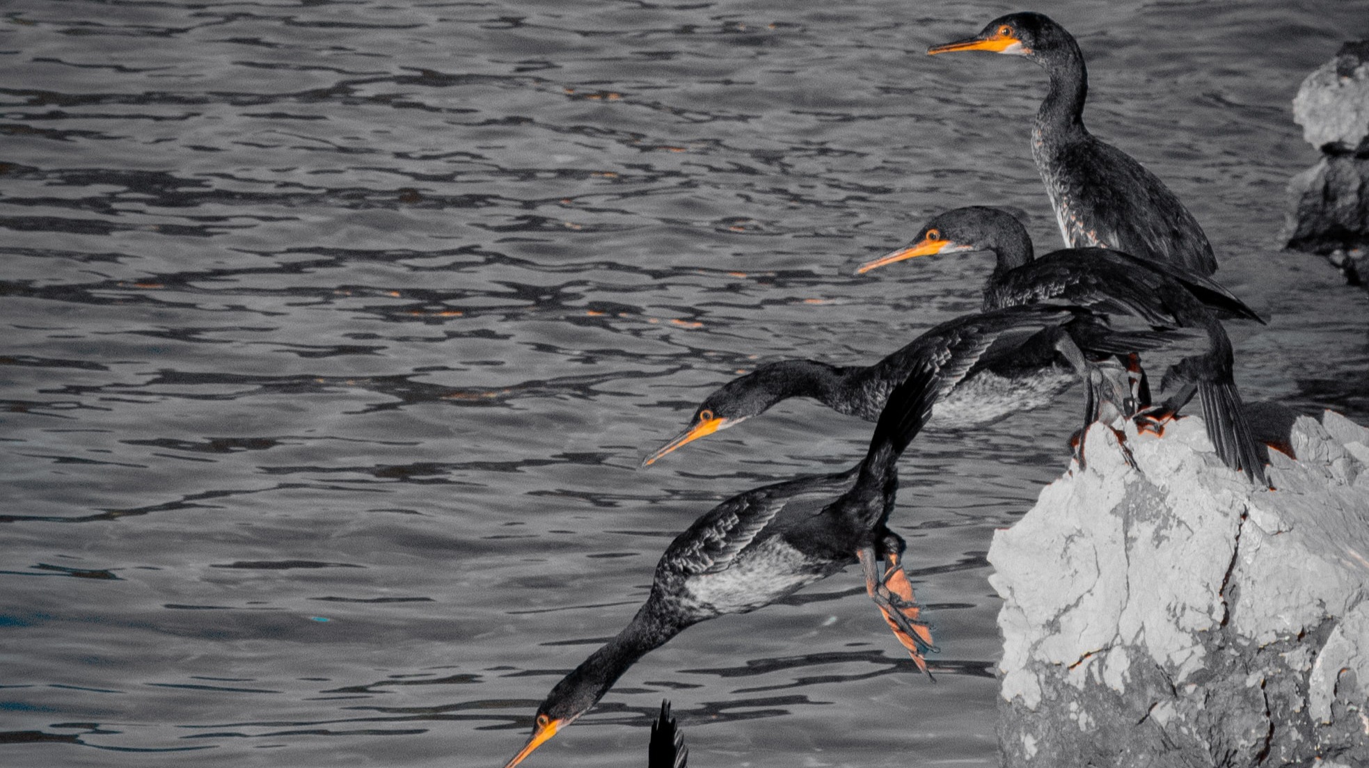 Image: Marino Linic on Unsplash