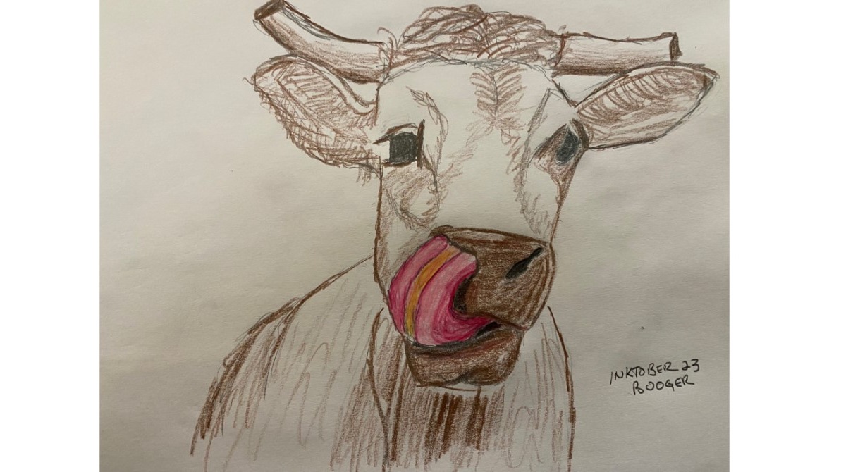 Cow sticking its tongue in its nostril - colored pencil