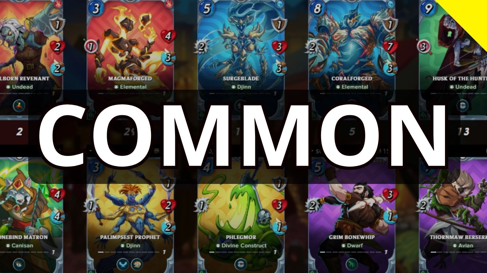 The BEST Common Conclave Reward Cards!