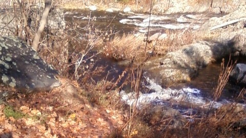 rivertrail