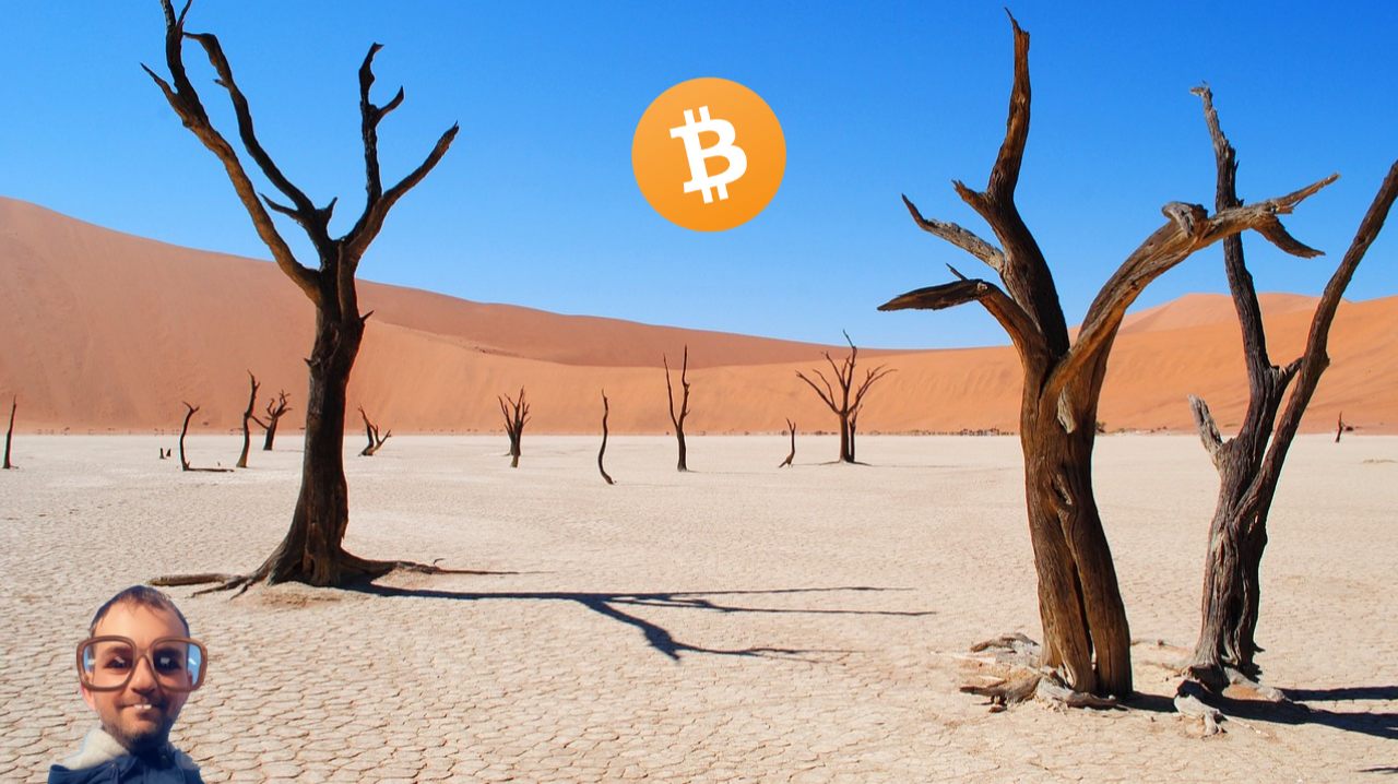 It Feels Like The Crypto Market Is Dead And Never Coming Back