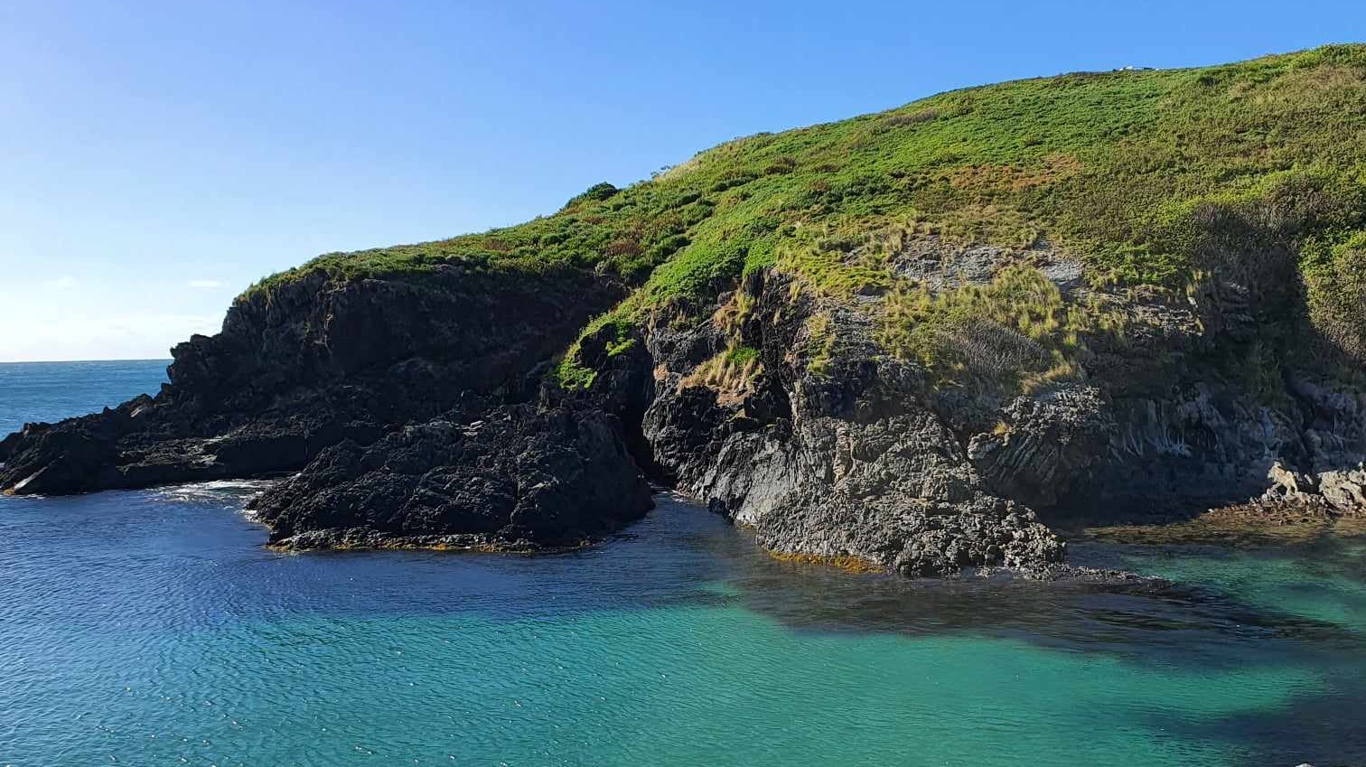 Muttonbird Island, Coffs Harbour