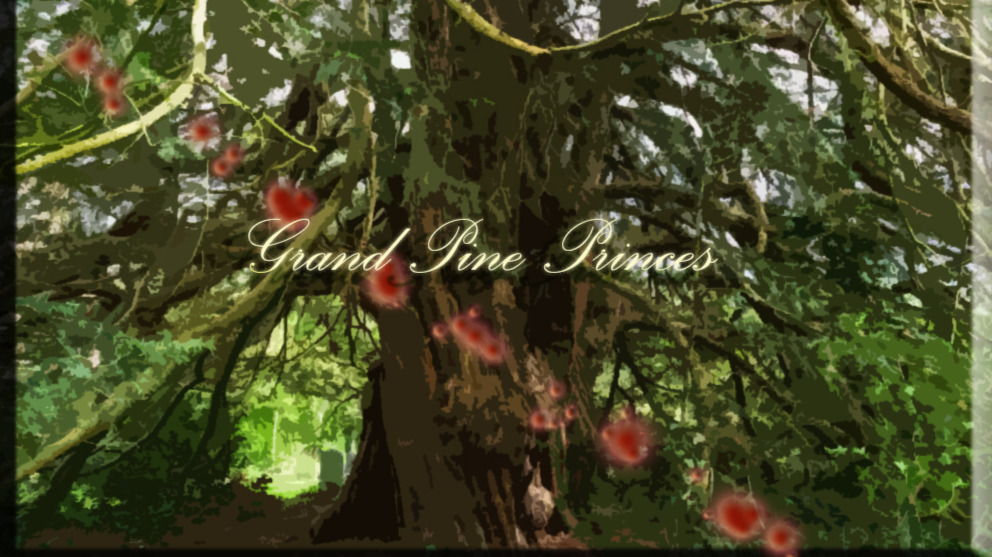 Episode 4. The Tree Whisperer