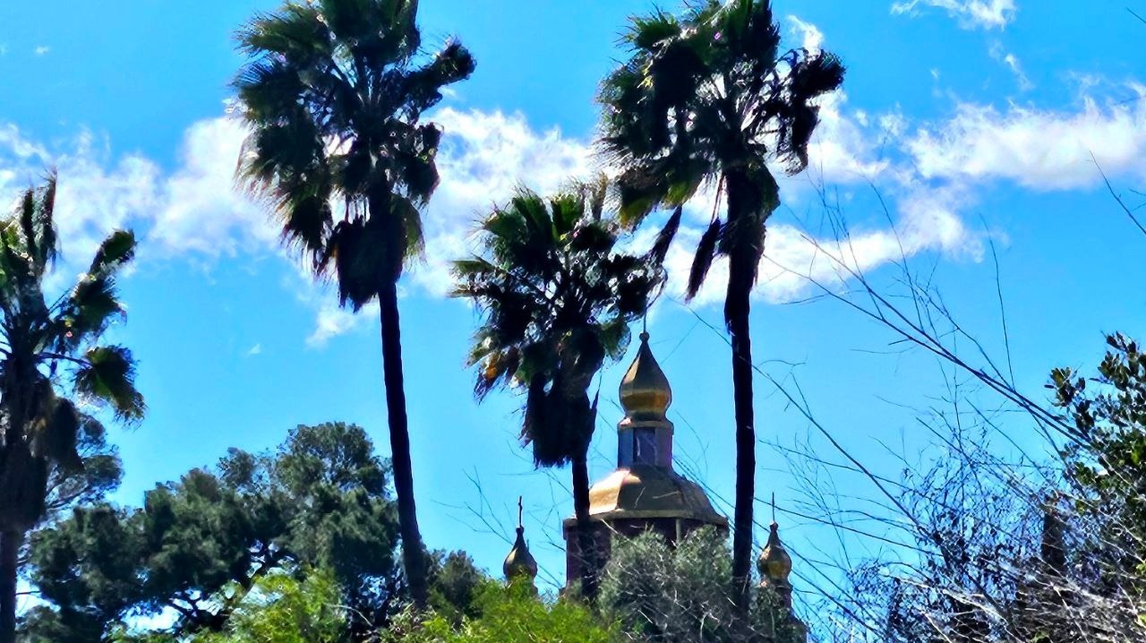 The divine sign