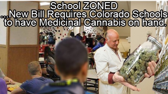 schoolzoned
