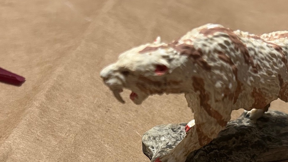 Tiger mini - close up