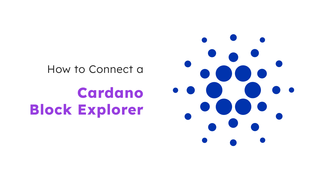How to Connect to Cardano Block Explorer