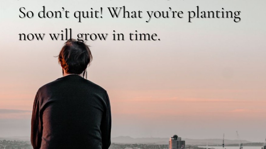 What you plant now will grow in time.