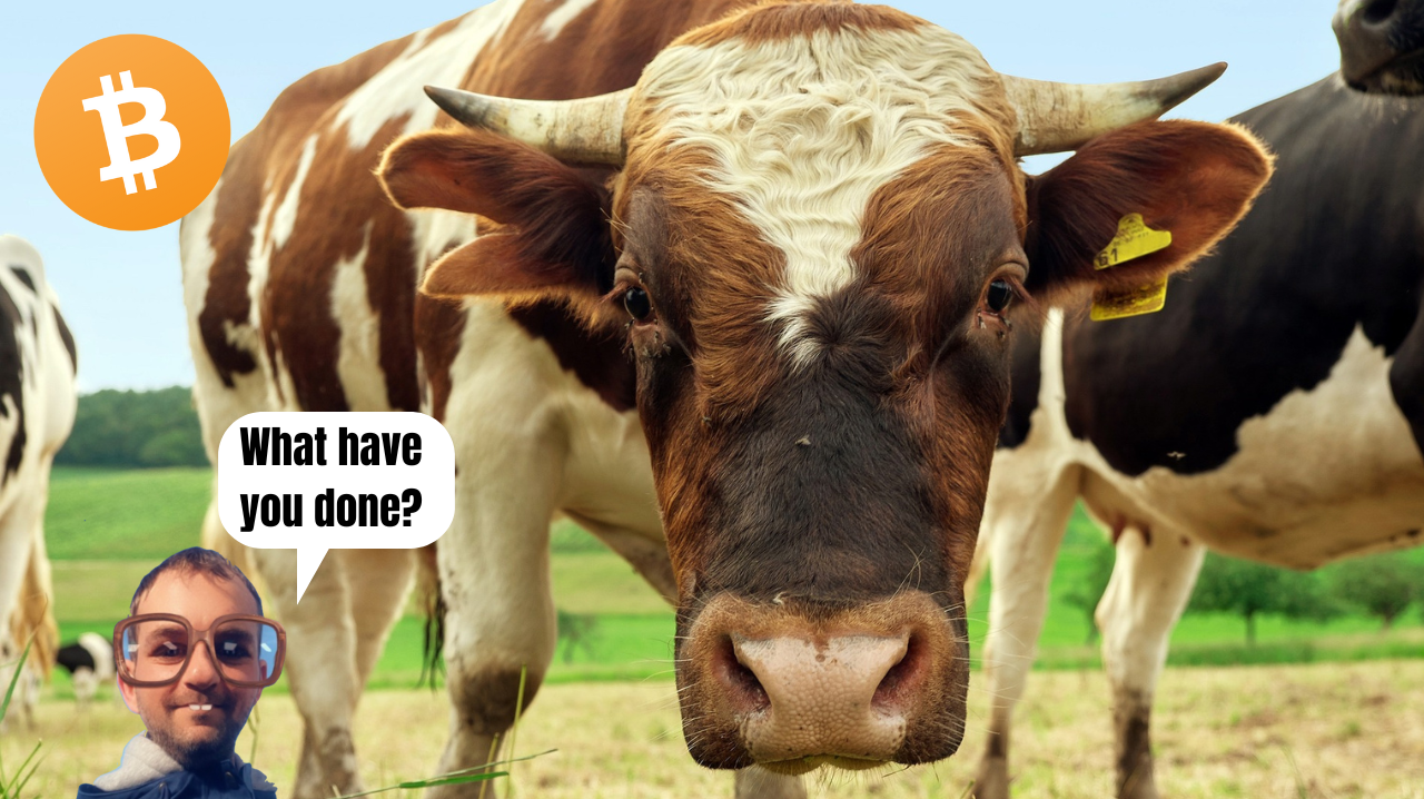 Are You Going To Take Profits In The Next Crypto Bullrun?