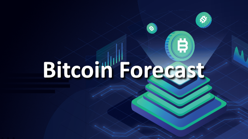 Bitcoin Price Forecast with Fundamental Analysis