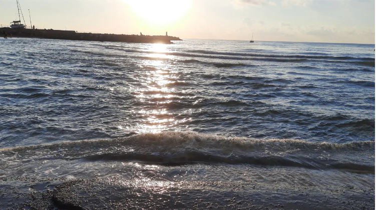 sea26