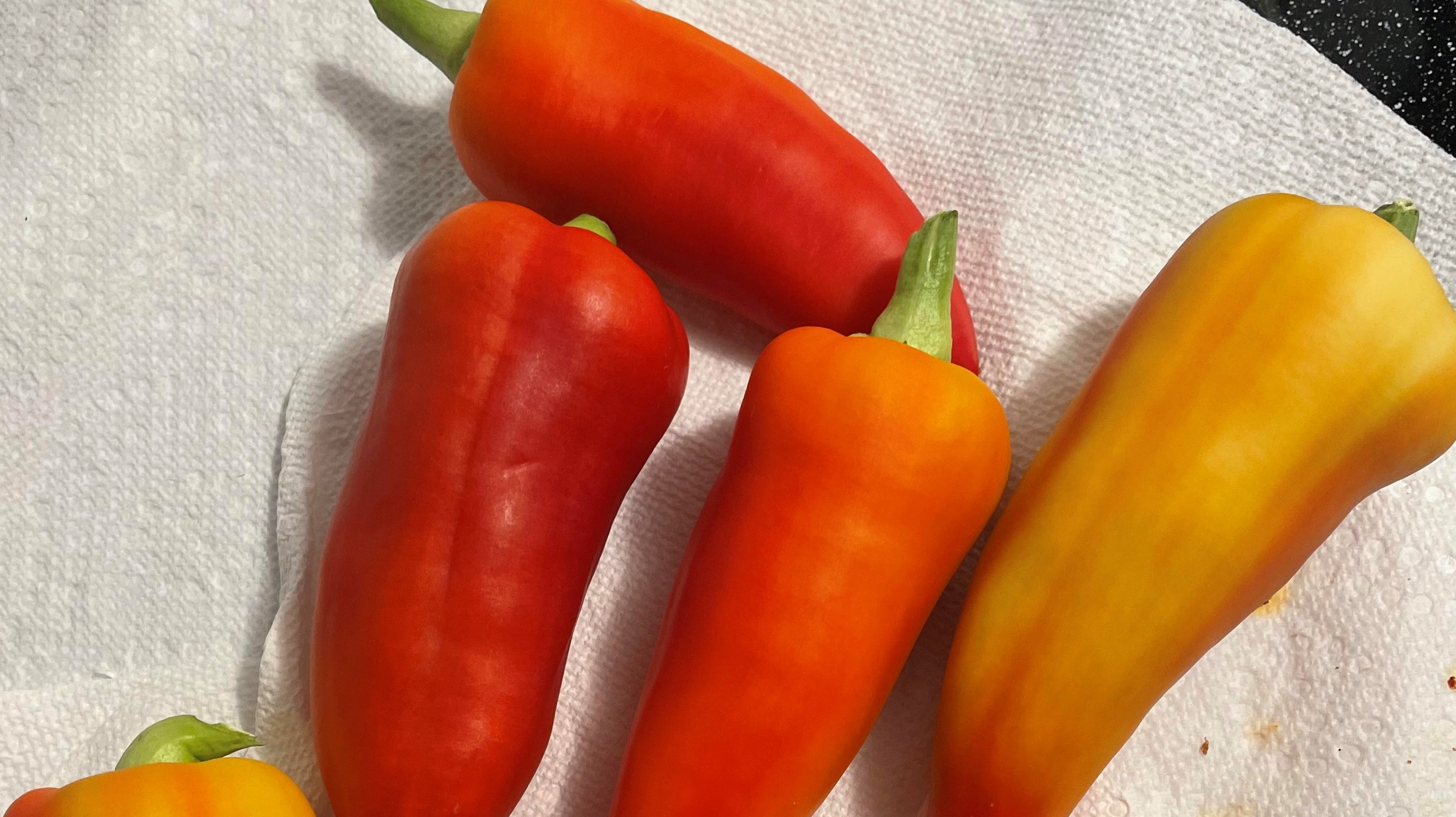 Paprika Peppers
