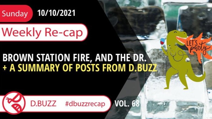 Recap of this Week's Posts by D.Buzz Vol.68