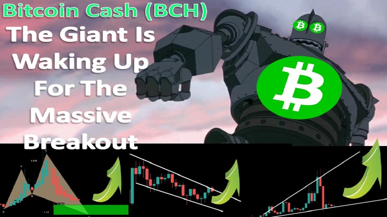 Bitcoin Cash (BCH) | The Giant Is Waking Up For The Massive Breakout